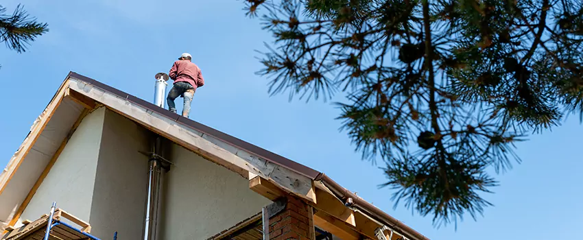 Birds Removal Contractors from Chimney in Herriman, UT