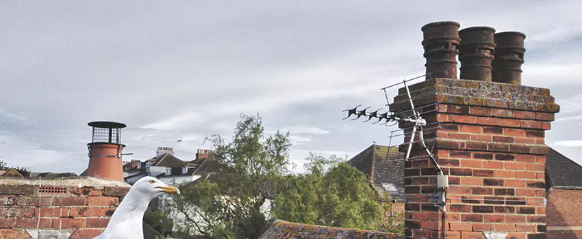Chimney Cleaning And Restoration in Herriman, Utah